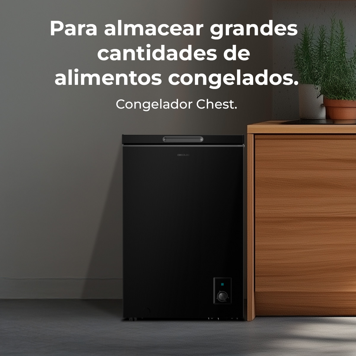 Bolero CoolMarket Chest 99 Black E | Envío gratis y mejor precio garantizado – foto detalle 1